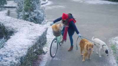 Oh, that's what I love
about you, Annie. - The Dog Days of Christmas