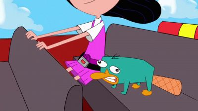 Oh there you are Perry - Phineas and Ferb