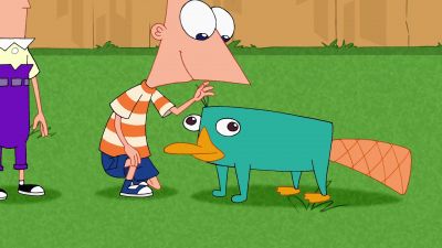 Oh there you are Perry - Phineas and Ferb