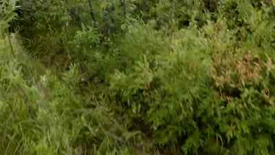 Oh, there goes that idea. - Bering Sea Gold