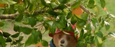 Oh... they're beautiful, perfect,
every one. - Paddington in Peru