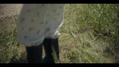 Oh, they're so pretty! Come look at them, - Little Bird