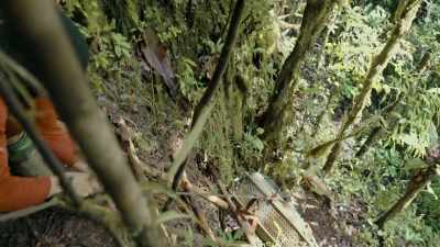 Oh. This is gonna be so treacherous
for Bruce. - Explorer: The Last Tepui