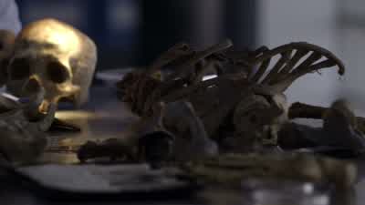 Oh, this looks rather ghoulish. - The Blacklist