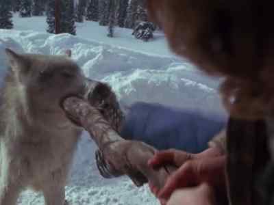 Oh, Toby, Toby... - Further Adventures of the Wilderness Family