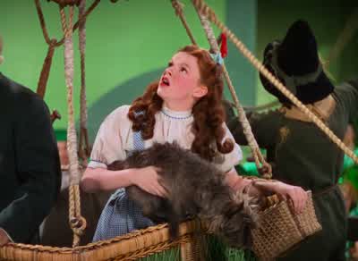 Oh, Toto. - The Wizard of Oz