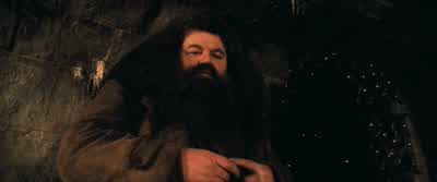 Oh, Wait a minute. - Harry Potter and the Philosopher's Stone