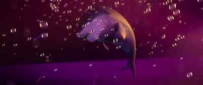 Oh, wait, I'm a shark. I'm totally fine! - Seal Team