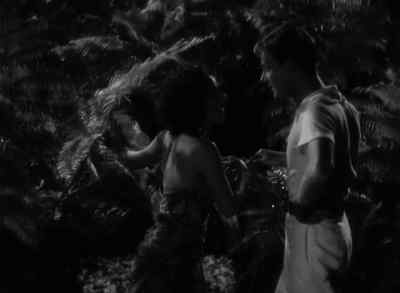 Oh, you want me to sit down. - Bird of Paradise