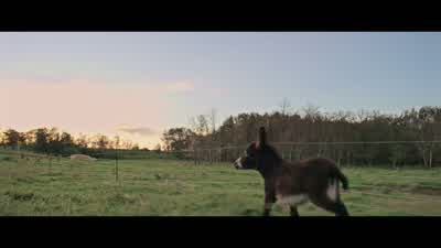 Oh, we had fun. - A Dog's Purpose