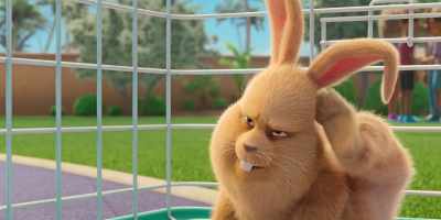 Oh. Well, beats "Thumper." - Leo
