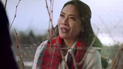 Oh, well, I would be
surprised if you didn't. - A Vineyard Christmas