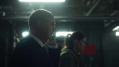 Oh, well, that is really
good news, Agent Ryan. - The Enemy Within