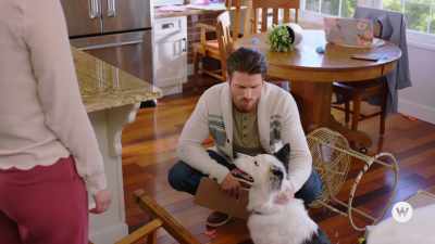 Oh. Well,
when Sam's focus was on me, - Romance to the Rescue