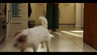 Oh, what a nice surprise! - Finding Alice
