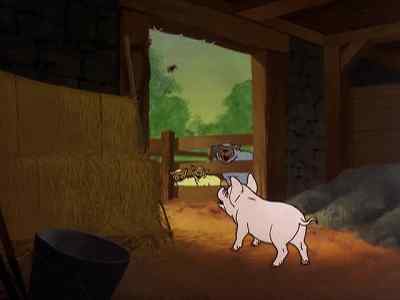 Oh! What did
I do wrong? - Charlotte's Web