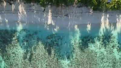- # Oh, whoa, - FBOY Island NZ