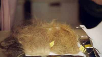 -Oh, wow.
-BETH: These are all fur samples - Prop Culture