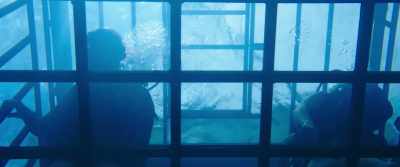 Oh, wow. - 47 Meters Down