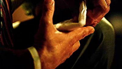 Oh, wow. - CSI: Miami