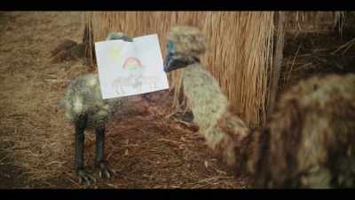 Oh, wow. - The Emu War