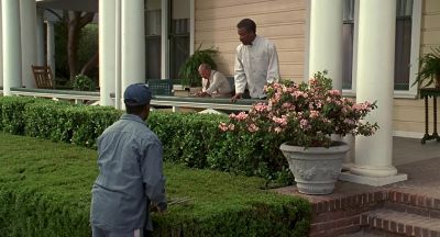 Oh yard boy - Life