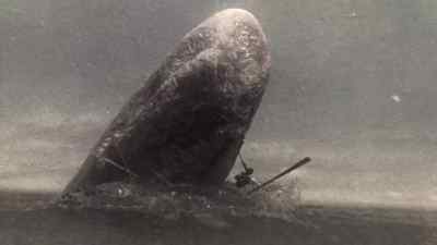 Oh, ye whale! Ye damned whale! - Moby Dick