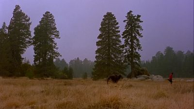 Oh yeah that feels good - Dr  Dolittle 2