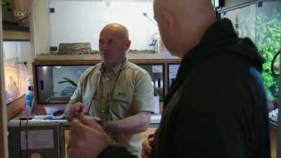 Oh, yeah. I've been bitten
15 times in 30 years. - Britain's Tiger Kings - On the Trail with Ross Kemp