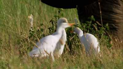 Oh, yeah?
Well, I'm gonna tell Mom - When Nature Calls with Helen Mirren