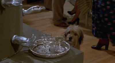 Oh, yes. Mm-hmm. - Oh Heavenly Dog