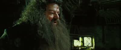 Oh, yes. - Harry Potter and the Order of the Phoenix