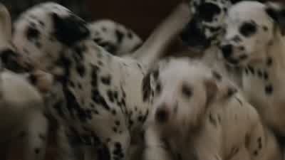 Oh, you as well. - 101 Dalmatians