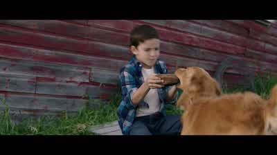 Oh, you like it, don't you? - A Dog's Purpose