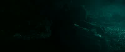 Oh, you look like shit. - Swiss Army Man