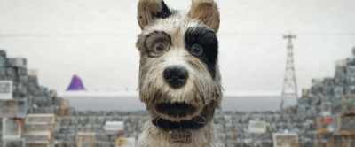 Oh, so you mean - Isle of Dogs