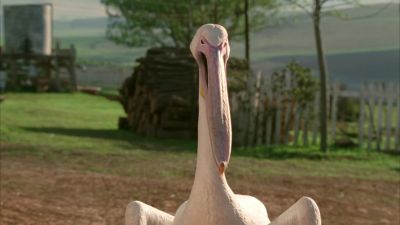Oh you're funny - Racing Stripes