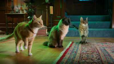 Oh, you're gonna love this next one! - Scaredy Cats