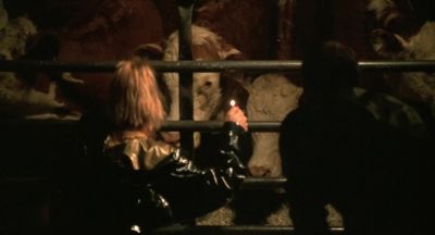 Ohh Frank they're so cute - Two If by Sea