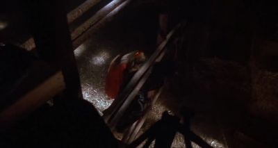 Ohh! Kittens! - Halloween 5: The Revenge of Michael Myers