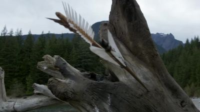Ohh! - Once Upon a Time