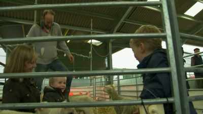 -Oi!
-[laughing] - Tractor Ted