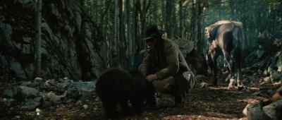 Ok, boy ... - The Bear