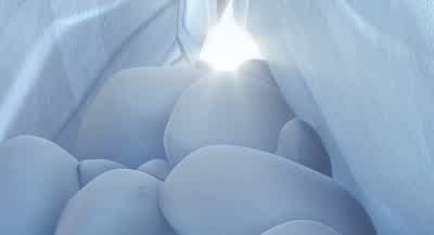 OK, I vote short cut. - Ice Age