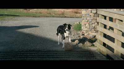 Ok so if
you can just steady it. - Billy & Molly: An Otter Love Story