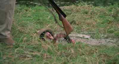 OK, Jairo, all right. - Treasure of the Amazon