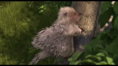 Ok kids, dive in, there it is. - Over the Hedge