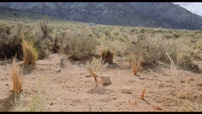 Ok, one to go. - Tremors