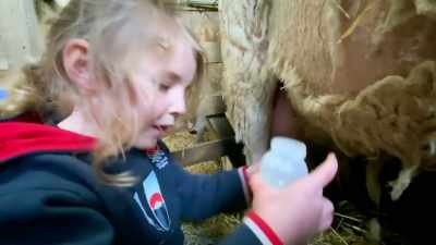 OK. - Our Yorkshire Farm