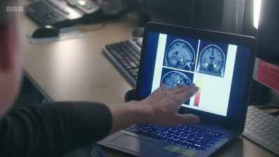 OK, so this is the amygdala
lighting up in subjects - The Human Body: Secrets of Your Life Revealed